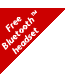 Bluetooth Headset